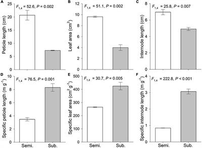 DNA Methylation Correlates With Responses of Experimental Hydrocotyle vulgaris Populations to Different Flood Regimes